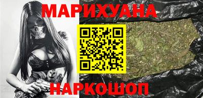 мдпв Бийск