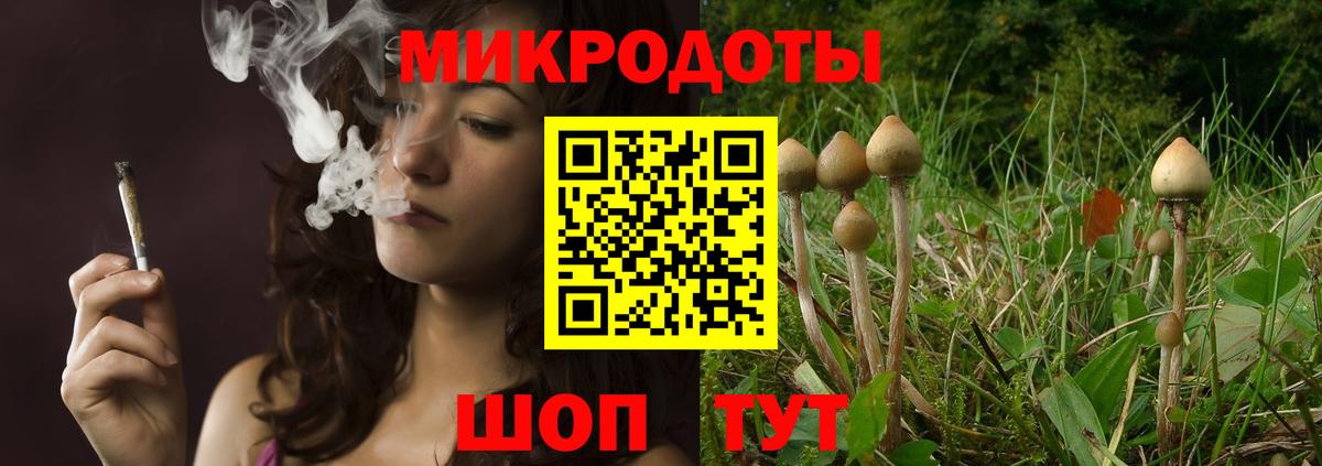 Галлюциногенные грибы MAGIC MUSHROOMS  Вход с VPN  Берёзовский 